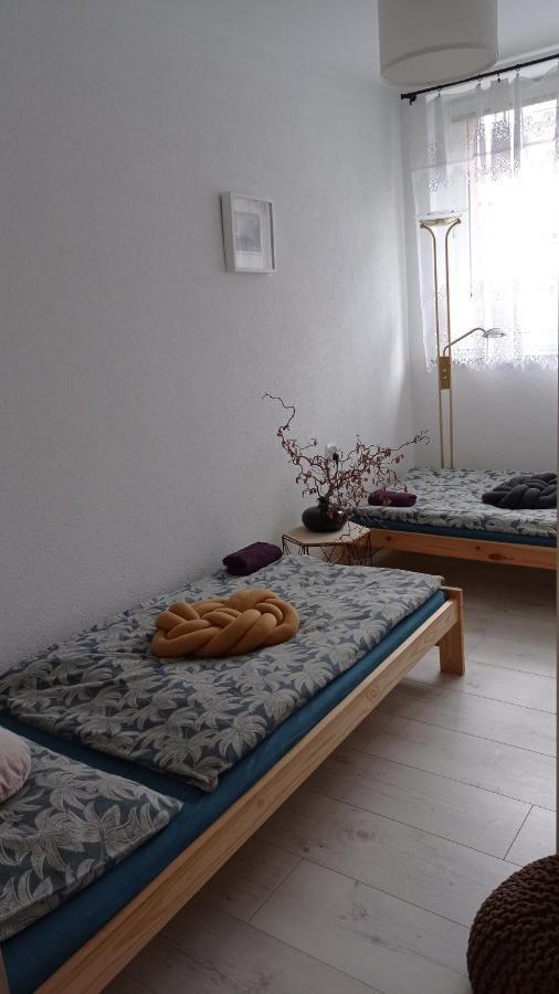Babcares Apa Gory Izerskie Apartment Mirsk ภายนอก รูปภาพ