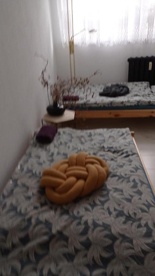 Babcares Apa Gory Izerskie Apartment Mirsk ภายนอก รูปภาพ